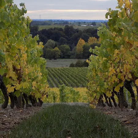 Confortable Au Cœur Du Vignoble Avec Wifi Et Parking, Proche Du Puy Du Fou - Fr-1-622-94 Bellevigne-en-Layon